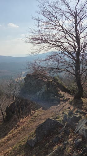 Inselsberg Rundweg
