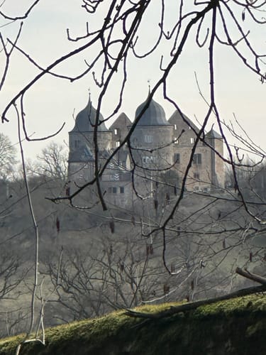 Urwald Sababurg - Rundweg (rot/Specht)