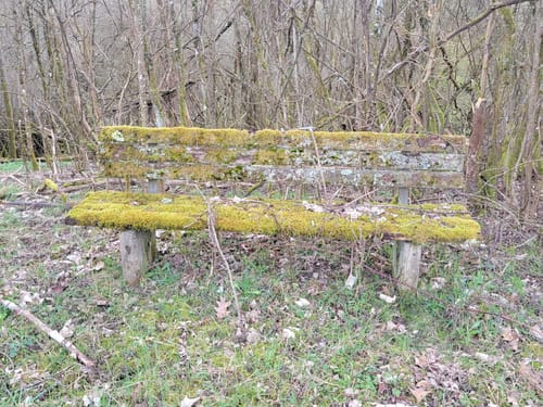 Rund um den Absinkweiher Hahnwiese