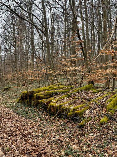 Mittlere Geisbergtour
