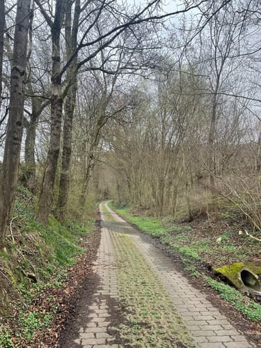 Mittlere Geisbergtour