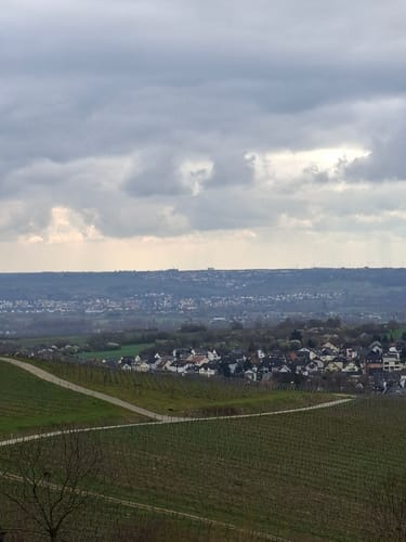 Kiedricher Weinbergrunde
