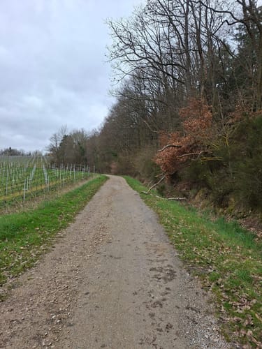 Kiedricher Weinbergrunde