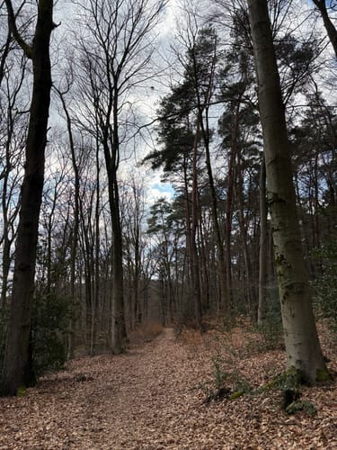 Um den Ziegenberg und Scharfeberg