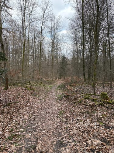 Um den Ziegenberg und Scharfeberg