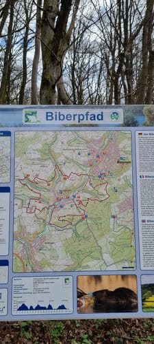 Biberpfad (Premiumwanderweg)