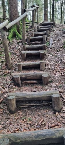 Biberpfad (Premiumwanderweg)