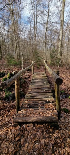 Biberpfad (Premiumwanderweg)
