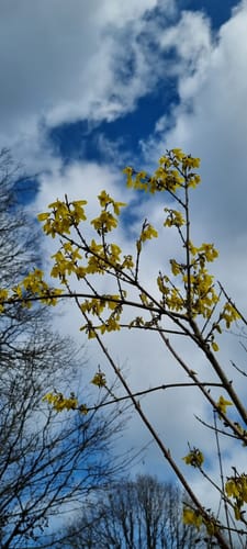 Biberpfad (Premiumwanderweg)