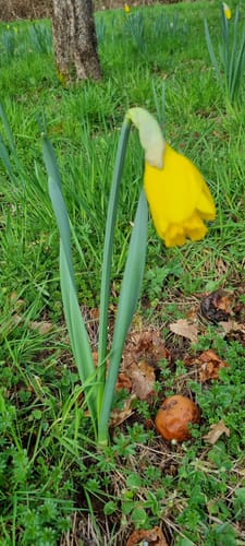 Biberpfad (Premiumwanderweg)