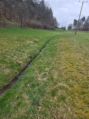 Waldrundweg in Hünstetten