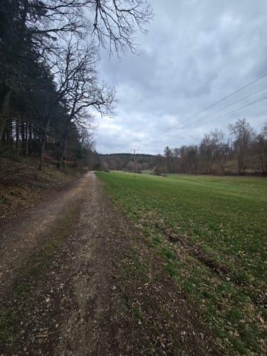 Waldrundweg in Hünstetten