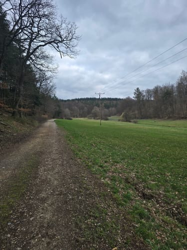Waldrundweg in Hünstetten