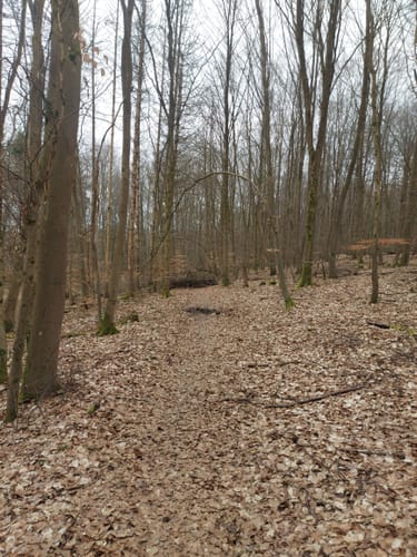 Rassel und Kellerskopf Rundweg