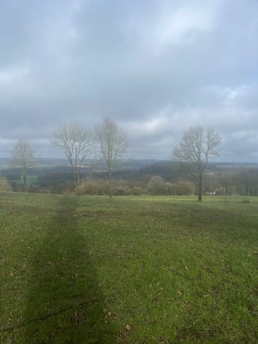 Tecklenburger Bergpfad (Premiumwanderweg)