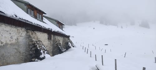 Zur Willersalpe