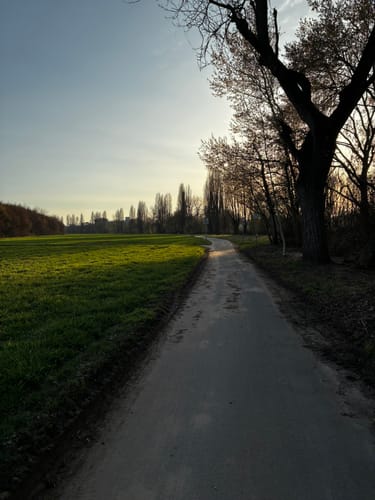 Entlang des Mains nach Frankfurt