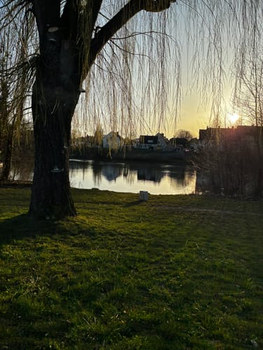 Entlang des Mains nach Frankfurt