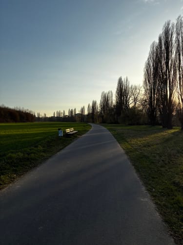 Entlang des Mains nach Frankfurt