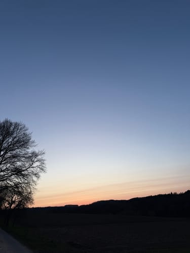 Von Wittlich zum Schonbach