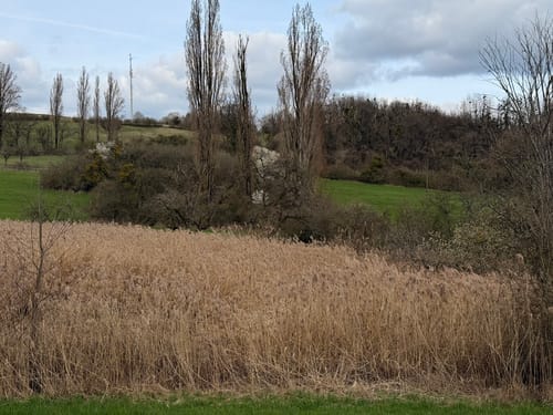 Naturshutzgebiet Nackberg