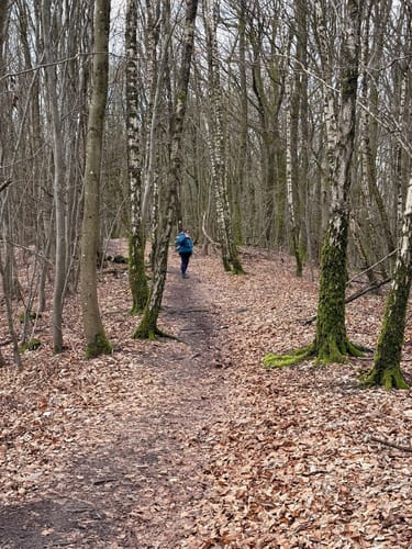 Kleiner Lückner (Traumschleife)