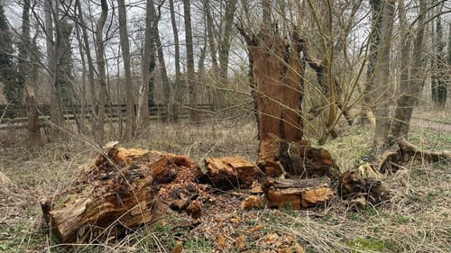 Burg Runde im Spreewald