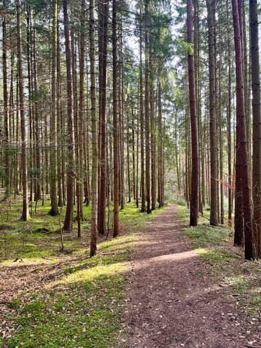 Wasser-, Wald- und Wiesenpfad (Premiumwanderweg)