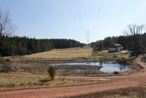 Stiege - Birkenmoor