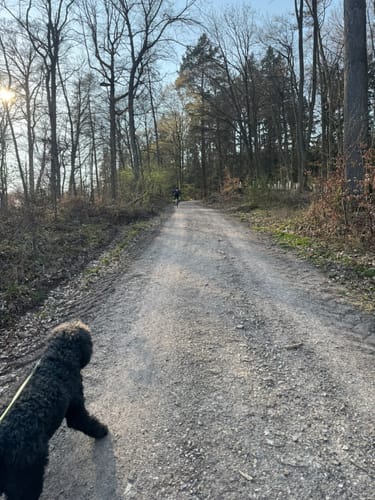Oberer Mühlweg und Teufelslochweg
