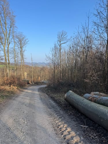 Oberer Mühlweg und Teufelslochweg
