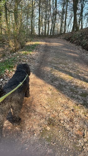 Oberer Mühlweg und Teufelslochweg