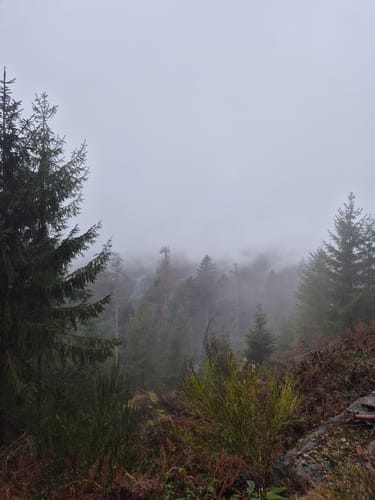 Nordrach Wanderung ab dem Moosbächlein