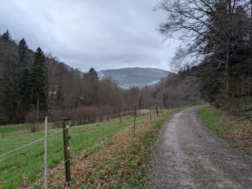 Bad Herrenalb Rundgang