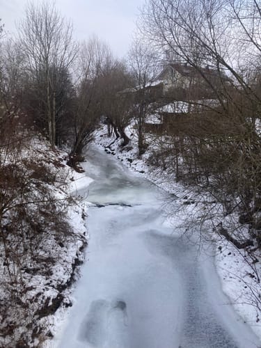 Waginger See Rundwanderung