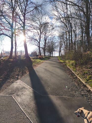 EifelSchleife Milchweg