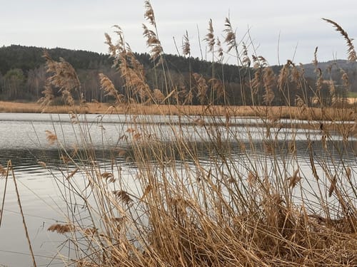 Rund um den Silbersee TB10