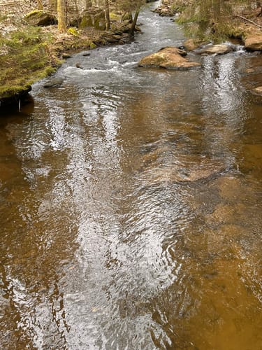 Rund um den Silbersee TB10