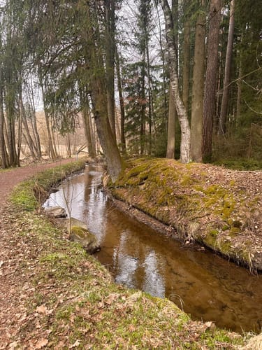 Rund um den Silbersee TB10