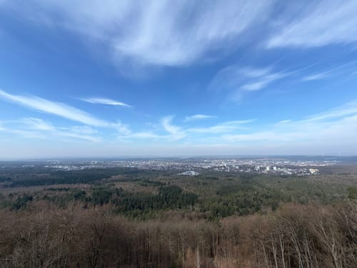 Erlebnispfad zum Humbergturm