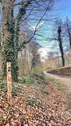 Aaper Wald A2