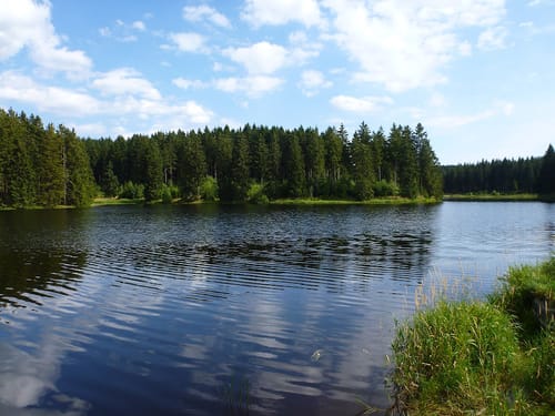 WasserWanderWeg Nr. 4, Buntenbocker Teiche