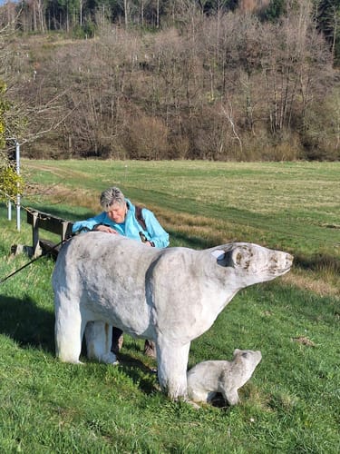 Wind, Wasser & Wacken (Premiumwanderweg)