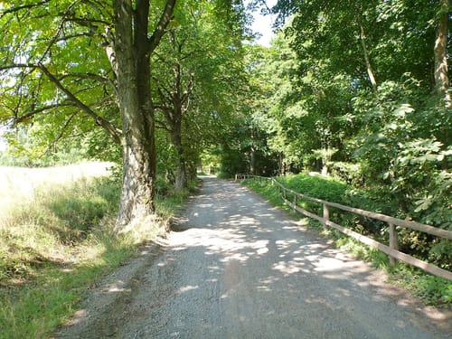 Die Harz-Wald-Tour