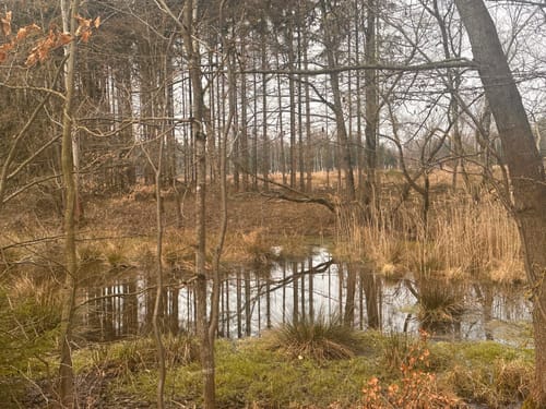 Naturlehrpfad Dreba-Plothen Erweiterung