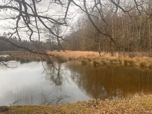 Naturlehrpfad Dreba-Plothen Erweiterung
