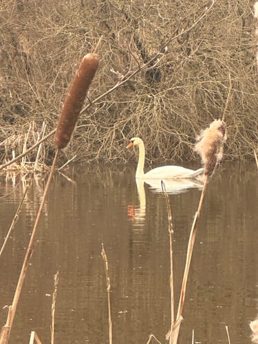 Naturlehrpfad Dreba-Plothen Erweiterung