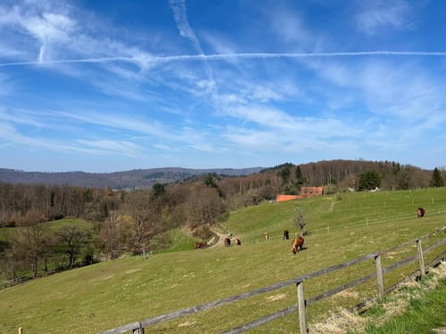 Heppenheim - Juhöhe Rundweg