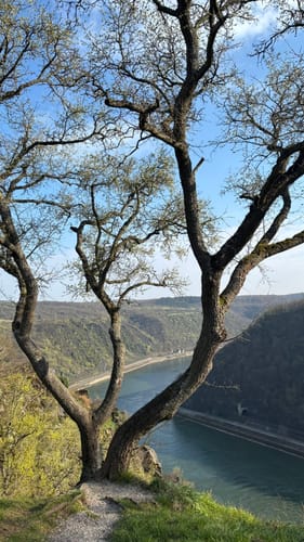 Bornich-Loreley Rundweg