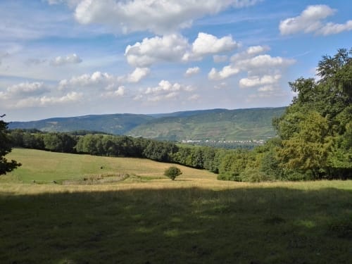 Niederheimbach - Franzosenkopf